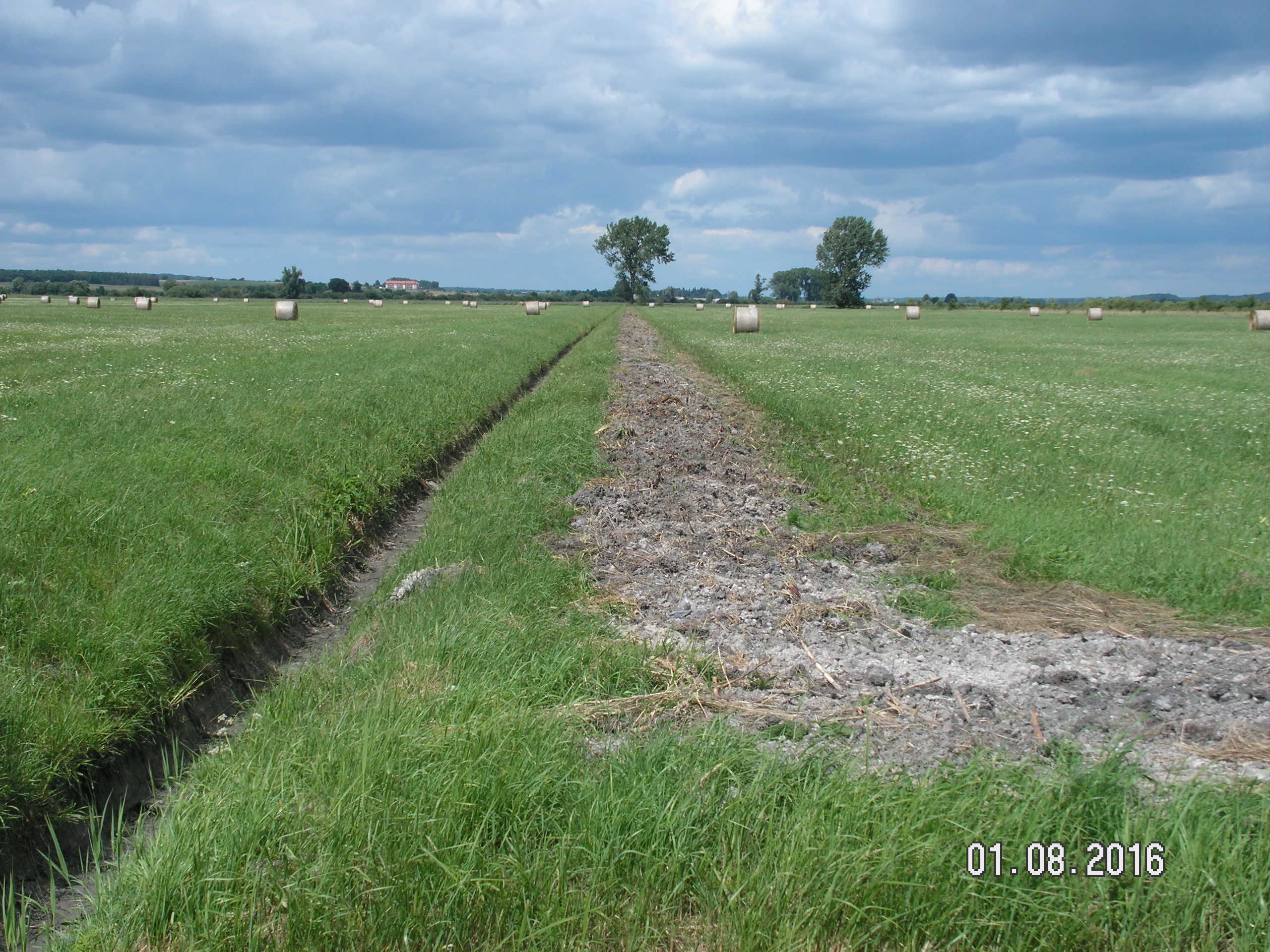 KONICA MINOLTA DIGITAL CAMERA